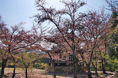 【写真】2013 桜 : 勧修寺/2021-02-03/IMGP9907