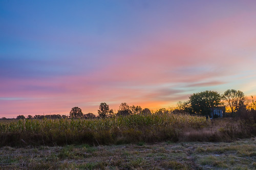 morning ohio sky sunrise cornfield frost unitedstates farm hdr columbiana