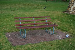 Bench at the shorefront in Perth