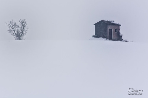 door italy panorama house snow tree window fog landscape casa nikon finestra neve porta nebbia albero monferrato d7100 nikond7100
