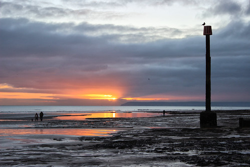 sunset seagulls beach silhouettes lowtide eastsussex bexhillonsea coastalresort larigan phamilton unrecognisablepeople