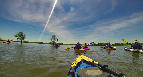 corsadahistorical cross kayaking lakemarion paddling southcarolina tricountybluewaypaddlers unitedstates us