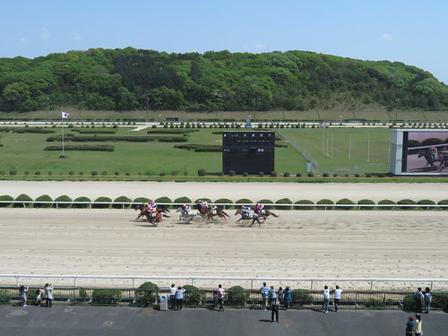 佐賀競馬場のロイヤル席から眺めたレース