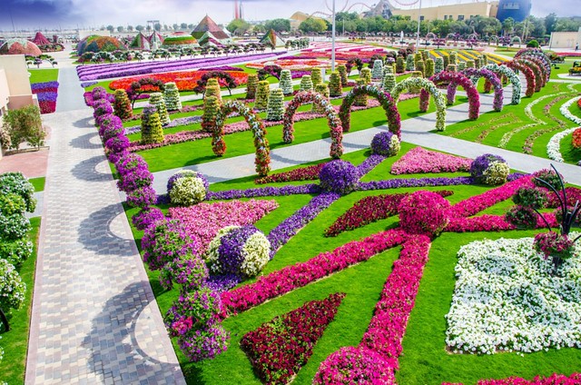 Visiting the Dubai Miracle Garden is one of the best romantic things to do in Dubai for couples