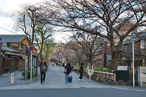 【写真】2013 桜 : 祇園白川/2021-01-19/IMGP8754
