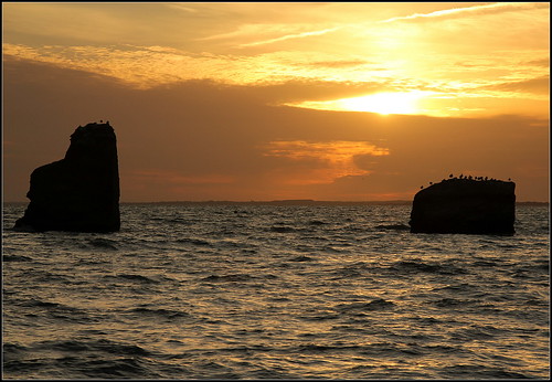 sunset sun france beach birds silhouette rock brittany bretagne plage fa laminedor