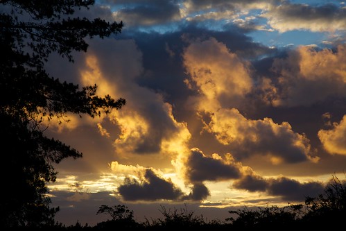 sunset sky tree clouds tramonto day cloudy norfolk cielo thornham 2013