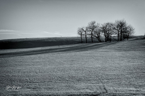 winter snow canada landscape photography alberta carstairs prairie