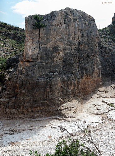 newmexico rocks geology limestones fieldexcursion canon7d canonefs18135mmf3556is zeesstof newmexicogeology