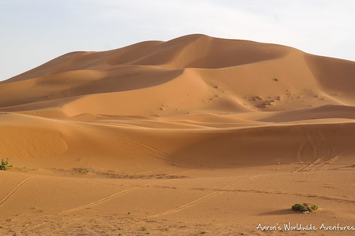 ergchebbi saharadesert sanddunes desert dunes morocco sahara sand travel