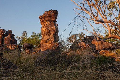 trees outcrop nature sunrise dawn nationalpark rocks australia outback kakadu northernterritory