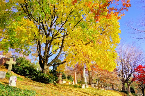 park morning autumn trees cambridge color colour fall nature public leaves yellow boston garden landscape geotagged ma outdoors day colours massachusetts sony cemetary newengland headstones graves historic foliage tombstones bostonma hdr olmsted nationalhistoriclandmark rx100 gayphotographer brooksbos rx100m2 dscrx100m2