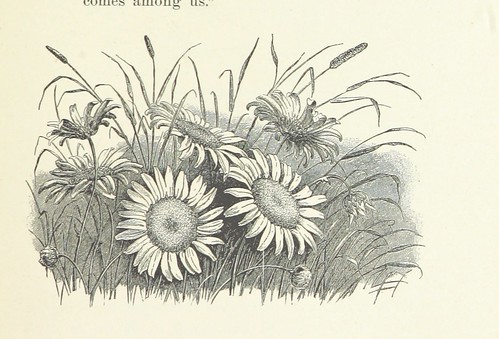 Image taken from page 265 of 'When Life is Young: a collection of verse for boys and girls'