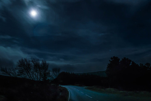 trees light night woodland landscape scotland countryside highlands nikon moonlight tomintoul cairngorms nikond3200 d3200