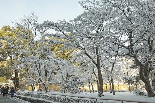 【写真】2014 雪 : 金閣寺/2020-07-05/IMGP4853