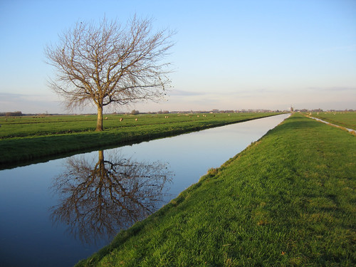 bomen weide wegenwaterbouwkwerken water travel land planten waterwegwerfenhaven sloot polder wandelen alphenaandenrijn zuidholland nederland