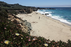 Garrapata State Beach - Carmel, California