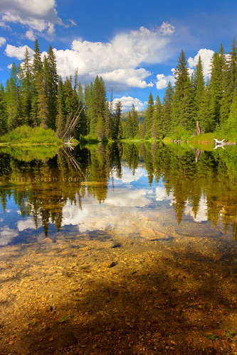 travel trees reflection vertical clouds forest canon landscape scenery scenic sigma bluesky idaho 7d hdr mccall payettelake photomatix 1750mm