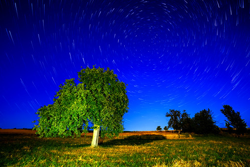 light sky moon tree night stars landscape nightscape horizon trails