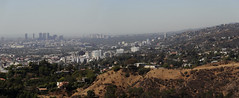 Hollywood 2013