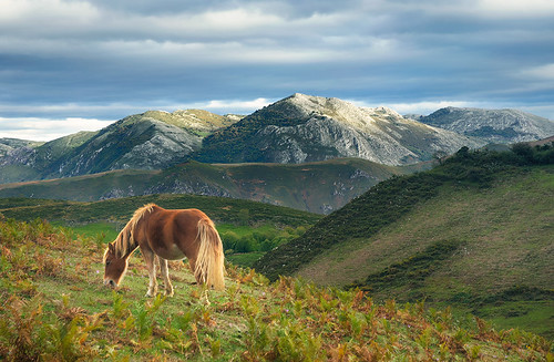 mountains spain asturias belmonte picocaldoveiro yernesytameza