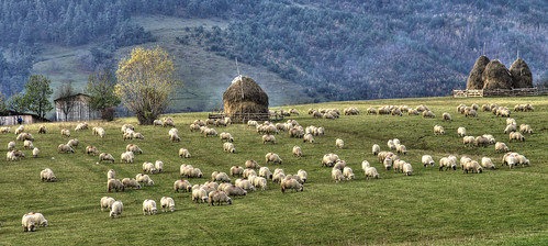 autumn mountain raw haystack agriculture sibiu rasinari photodujour tonemapped sheepherd romania2013