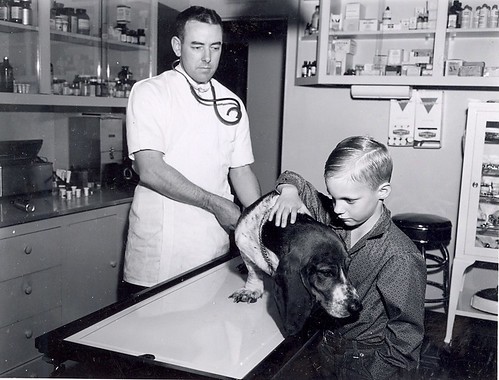 Dr. Montgomery, veterinarian, with dog and boy, circa 1960