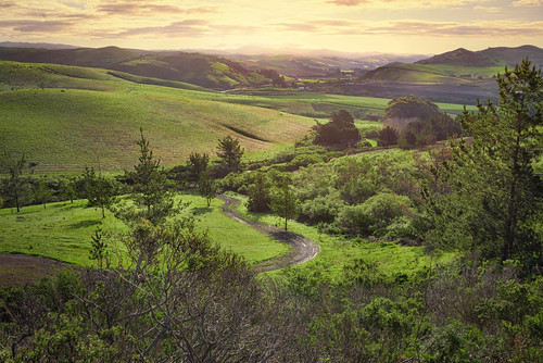 ca california usa highway1 landscape themes redwoodcity america cali nature road sangregorio valley sunrise sunny field natural pachamama pch scenic town village smalltown trees