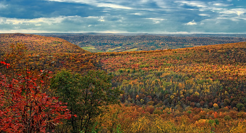 autumn trees sky mountains clouds landscape pennsylvania overcast hills foliage valley creativecommons appalachianmountains stratocumulus clintoncounty lycomingcounty tiadaghtonstateforest kalbfleischroad