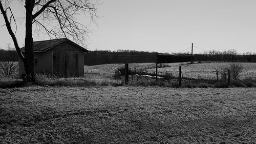 blackandwhite tree field grass barn rural landscape decay farm shed barbedwire ruraldecaykentucky