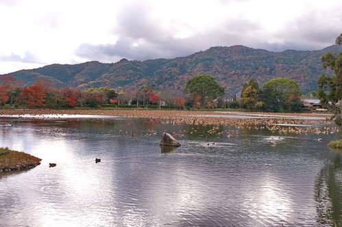 【写真】2012 紅葉 : 大覚寺/2021-11-15/IMGP7486