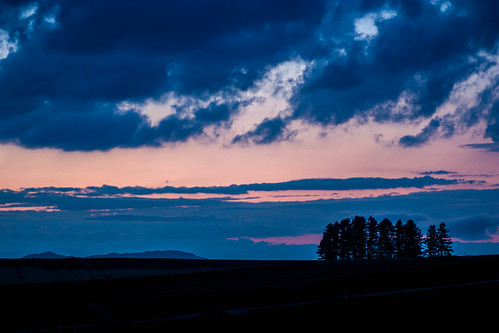 trees sunset japan night clouds landscape hokkaido cloudy 北海道 日本 木 biei 夕日 美瑛