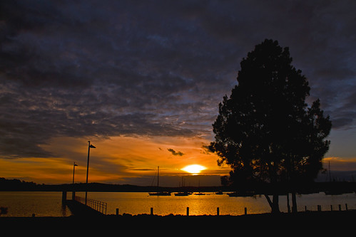 blue lake tree water silhouette clouds sunrise reflections golden pier day skies cloudy booragul