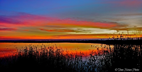 world color colors landscape seascapes sundown sunsets sunsetpictures sunsetphotos colorsinourworld picmonkey:app=editor