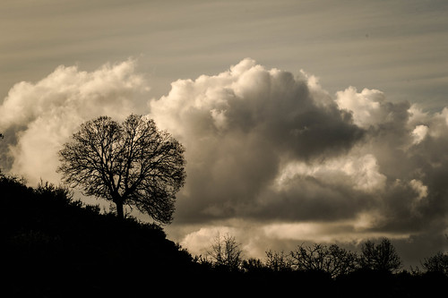 cloud tree greece achaea σύννεφο peloponnisosdytikielladakeionio ξερόδέντρο