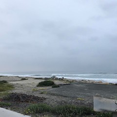 Rode to the beach this morning. Overcast but still n… 