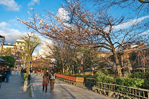 【写真】2013 桜 : 祇園白川/2021-01-19/IMGP8745