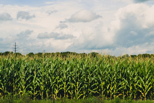 sky field corn pennsylvania