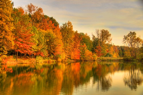 autumn fallcolors mentor lakecounty a77 lakemetroparks jeff® copyright©byjeffreytaipale j3ffr3y