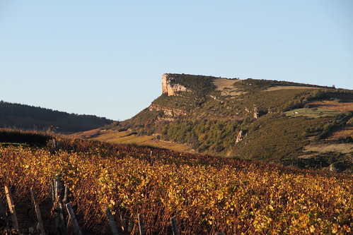 autumn automne burgundy bourgogne vignoble vigne vinyard vergisson mâconnais