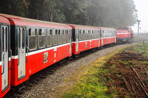 travel fog train landscape taiwan railway olympus 阿里山 alishan 嘉義 em1 火車 chiyai 1240mmf28