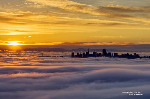 sanfrancisco california city usa colors fog sunrise low sfbay sfist