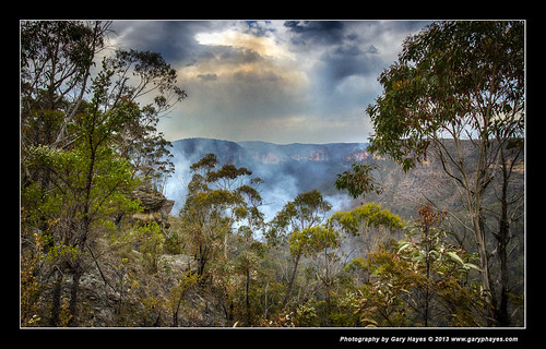 aftermath sydney australia bluemountains bushfire grossvalley