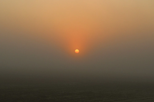 winter sun mist fog sunrise minimal minimalist