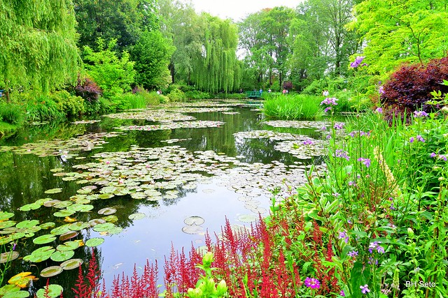 Claude Monet Garden