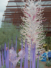 Chihuly in the Garden Desert Botanical Gardens_11 23 13_0038.JPG