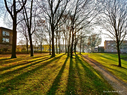 winter shadow sun holland tree fall dutch sunrise december colours sunny bicyclist dreamy quite sunrays parc beams colourfull helmond greatphotographer renefromholland year2013
