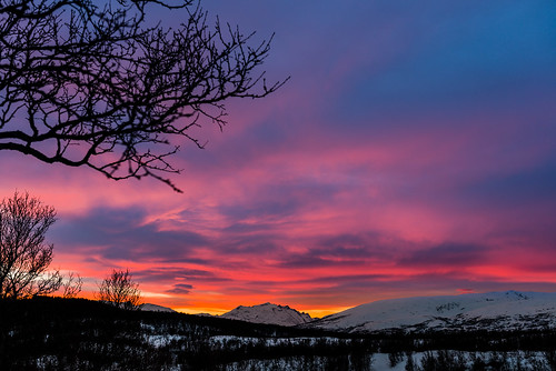 sunset night cloudy rosa skyer fjell solnedgang barnehagen vinterlys