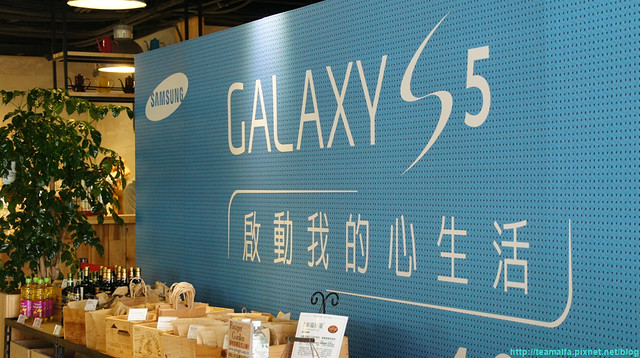Samsung S5-013