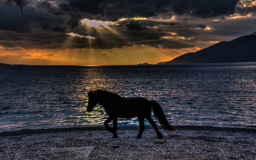 sunset sea sky horse sun animal walking spring walk greece rays attica portogermeno